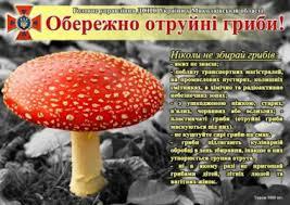 /Files/images/konsultatsya/images.jpg