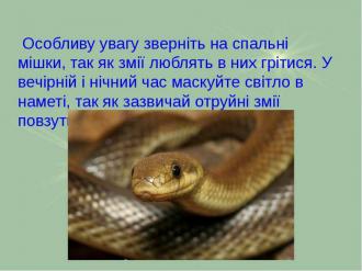 /Files/images/konsultatsya/img21.jpg